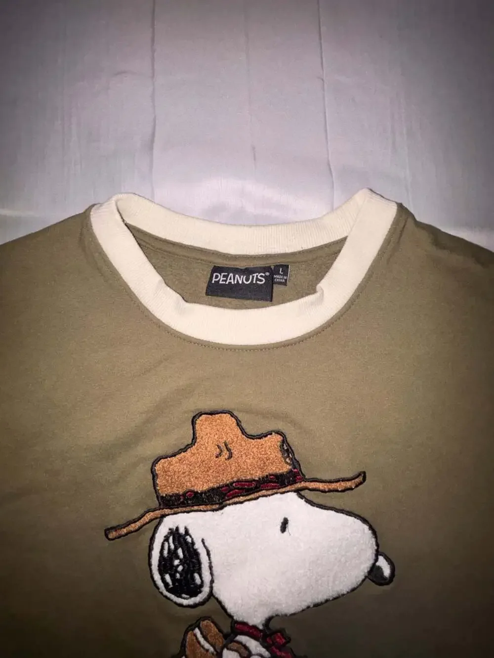 Peanuts Snoopy Camper Graphic Embroidered Colorblock Sweatshirt - Picture 2 of 3